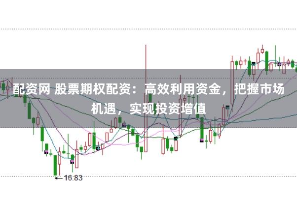 配资网 股票期权配资：高效利用资金，把握市场机遇，实现投资增值
