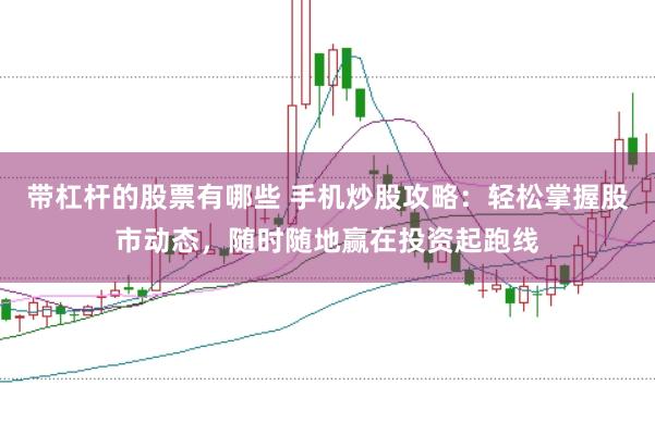 带杠杆的股票有哪些 手机炒股攻略：轻松掌握股市动态，随时随地赢在投资起跑线