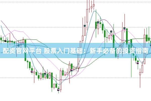 配资官网平台 股票入门基础：新手必备的投资指南