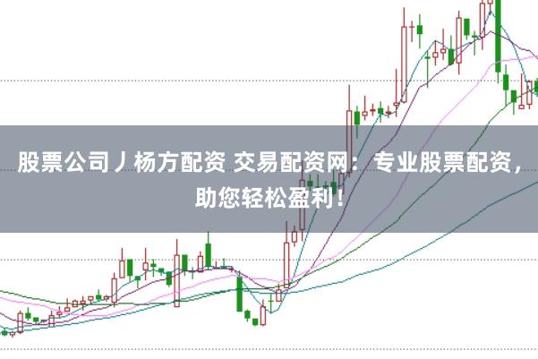 股票公司丿杨方配资 交易配资网：专业股票配资，助您轻松盈利！