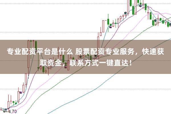 专业配资平台是什么 股票配资专业服务，快速获取资金，联系方式一键直达！