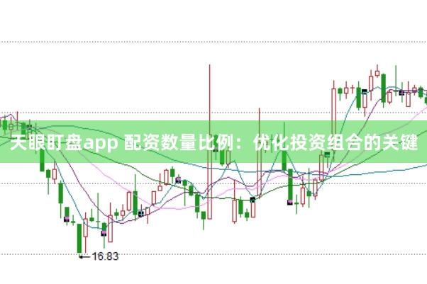 天眼盯盘app 配资数量比例：优化投资组合的关键