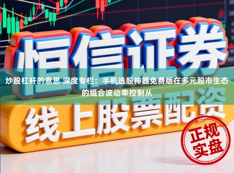 炒股杠杆的意思 深度专栏：手机选股神器免费版在多元股市生态的组合波动率控制从
