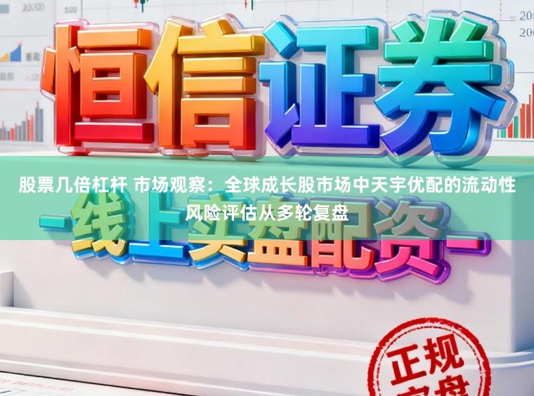 股票几倍杠杆 市场观察：全球成长股市场中天宇优配的流动性风险评估从多轮复盘