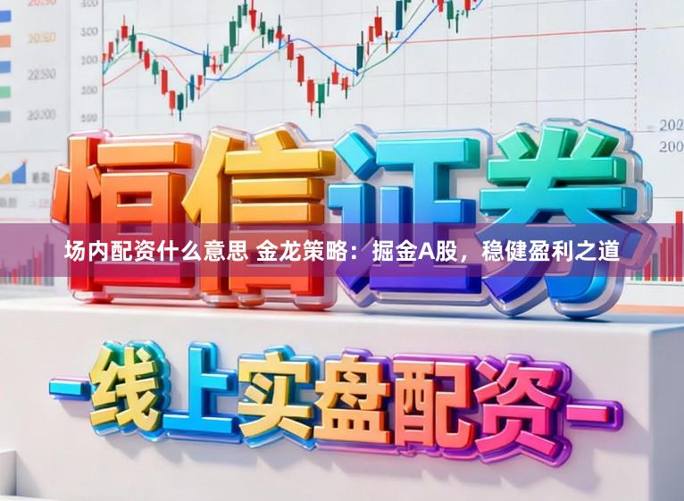 场内配资什么意思 金龙策略：掘金A股，稳健盈利之道